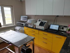 keçiören gece açık veteriner petlevel muayene odası