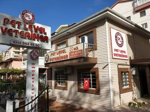 keçiören gece açık veteriner petlevel kliniği