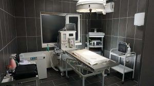 keçiören nöbetçi veteriner petlevel ameliyathane