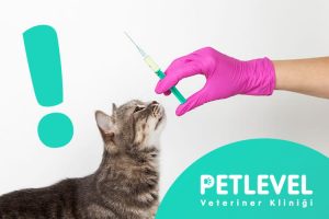 nöbetçi veteriner aşı uygulamaları